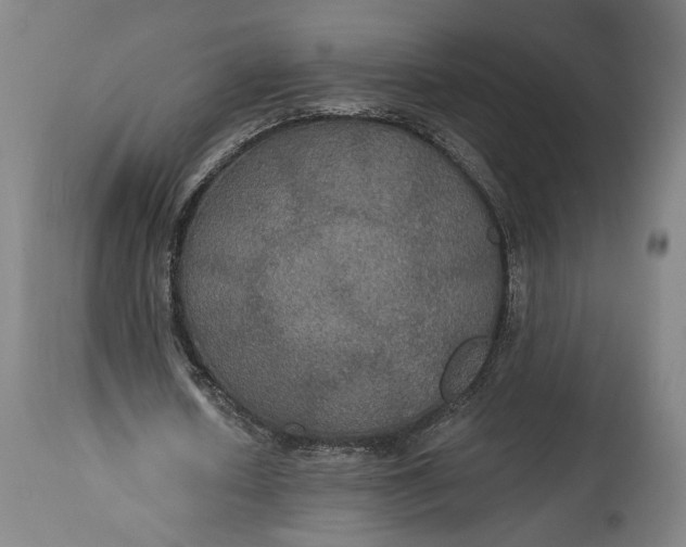 X0000114610626200911101152