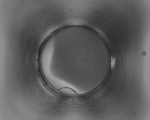 X0000114610627200911101152