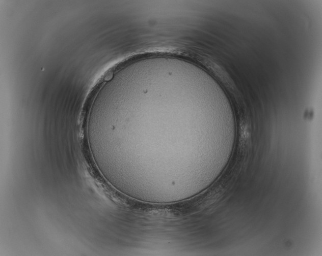 X0000114610628200911101152