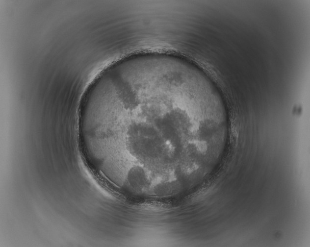 X0000114610630200911101152