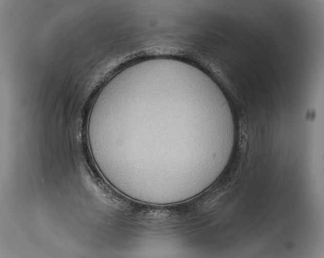 X0000114610631200911101152