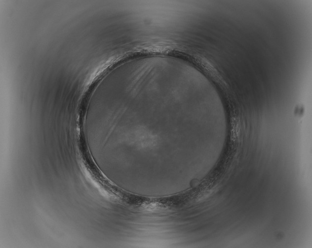 X0000114610634200911101152