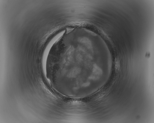 X0000114610637200911101153