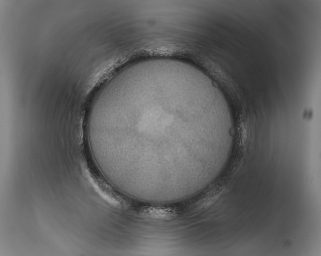 X0000114610638200911101153