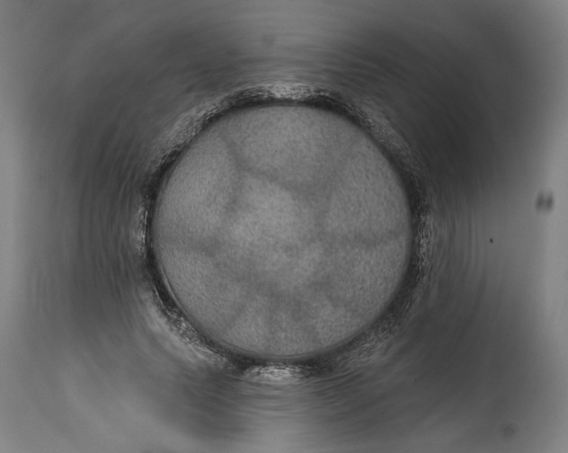 X0000114610639200911101153