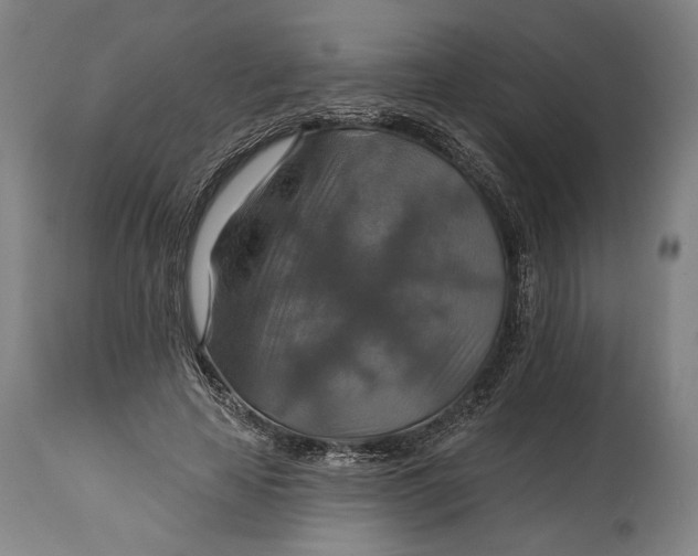 X0000114610641200911101153