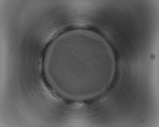 X0000114610642200911101153