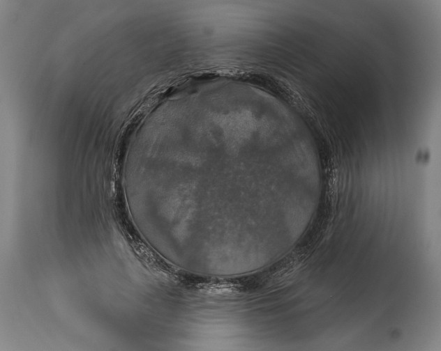 X0000114610643200911101153