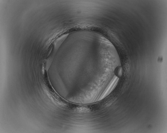 X0000114610644200911101153