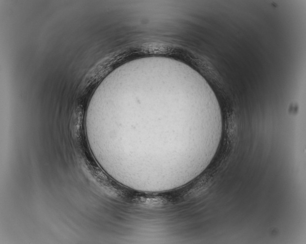 X0000114610645200911101153