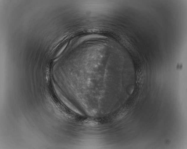 X0000114610648200911101153