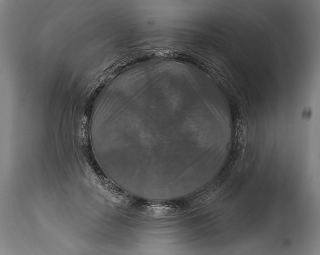 X0000114610650200911101153