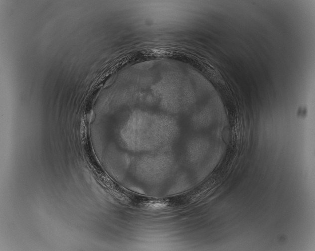 X0000114610651200911101153