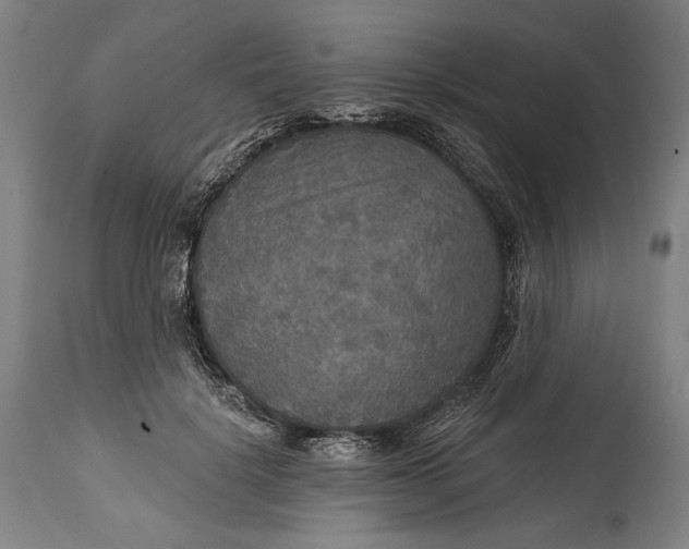 X0000114610652200911101153