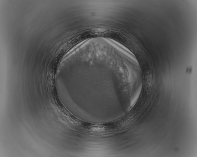 X0000114610653200911101153