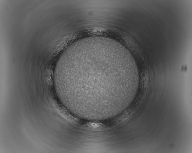 X0000114610654200911101153