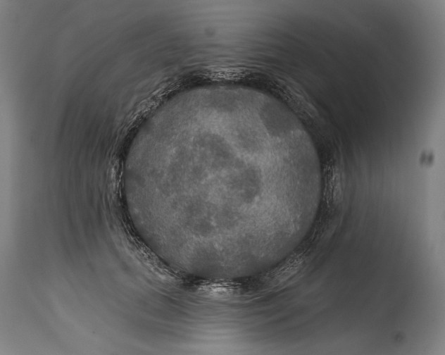 X0000114610655200911101153