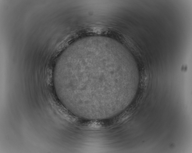 X0000114610656200911101153