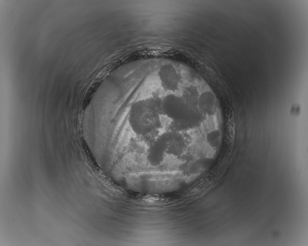 X0000114610657200911101153