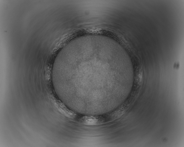 X0000114610658200911101153