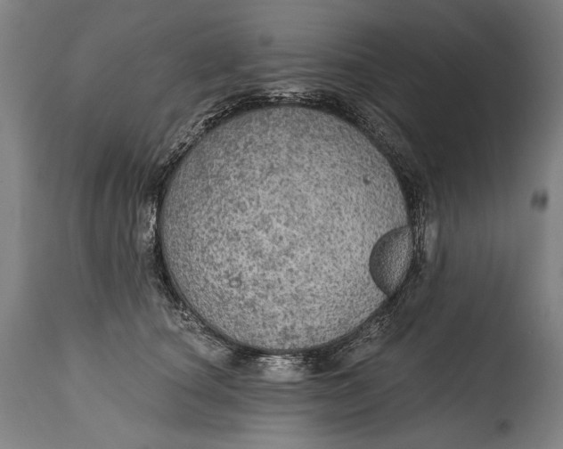 X0000114610660200911101153