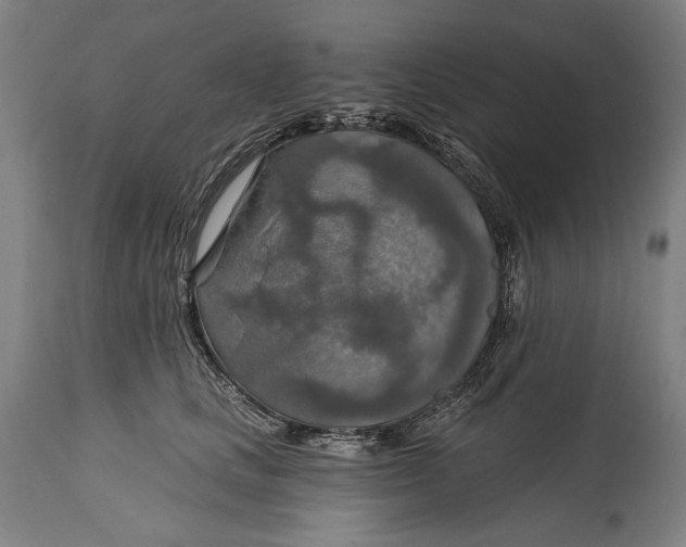 X0000114610661200911101153