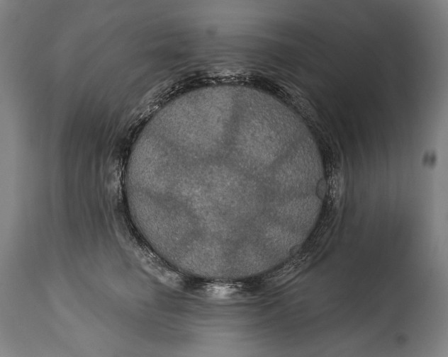 X0000114610662200911101153