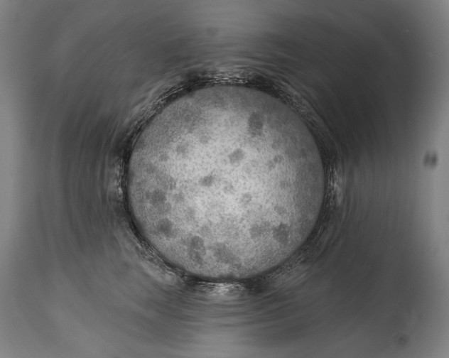 X0000114610663200911101153