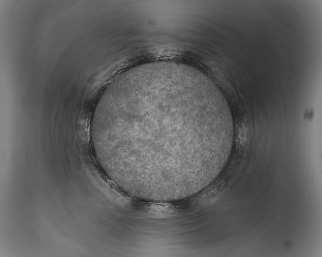 X0000114610666200911101153