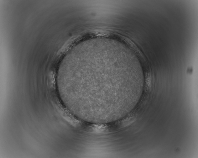 X0000114610667200911101153