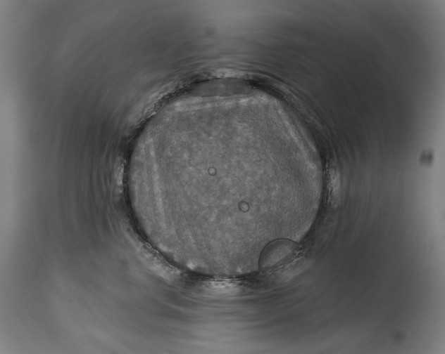 X0000114610668200911101153