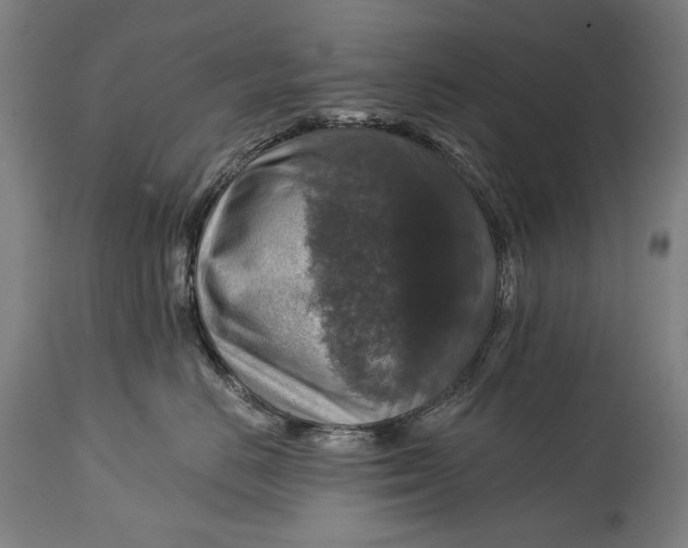 X0000114610670200911101153