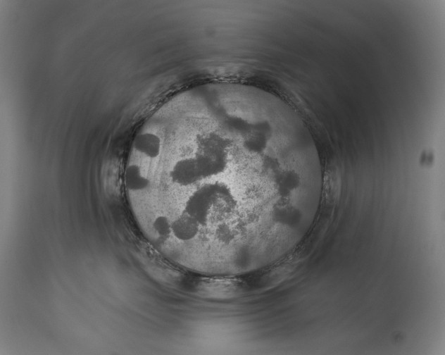 X0000114610671200911101153