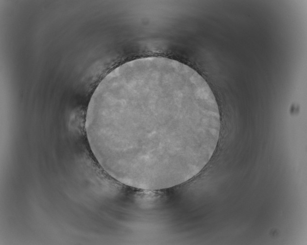 X0000114610672200911101153