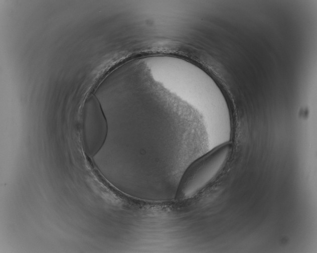 X0000114610673200911101152