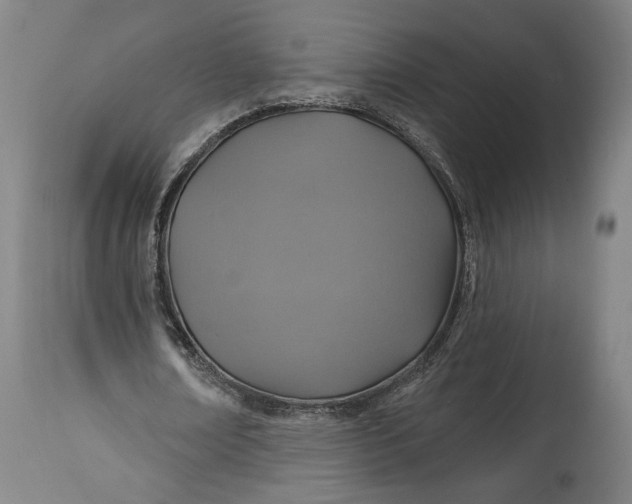 X0000114610674200911101152