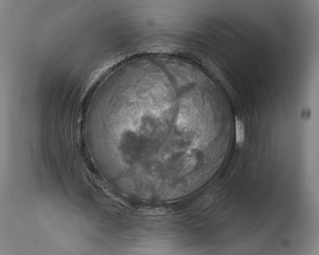 X0000114610675200911101152