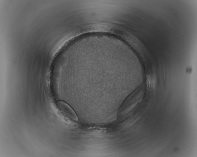 X0000114610676200911101152