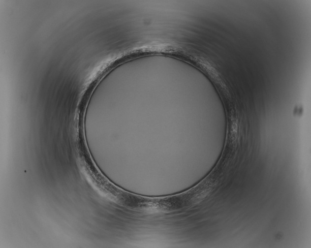 X0000114610678200911101152