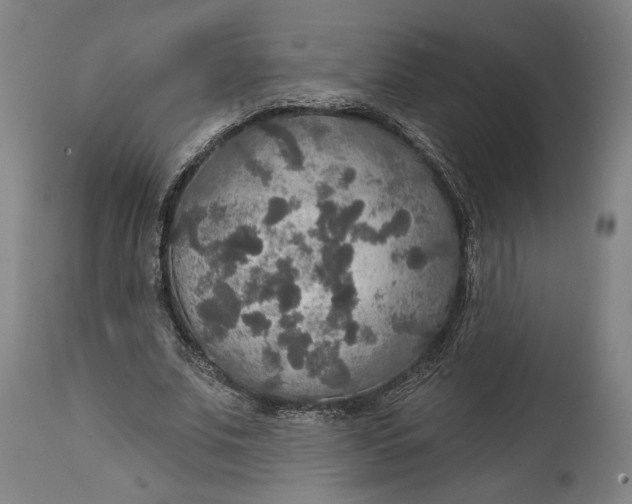 X0000114610679200911101152