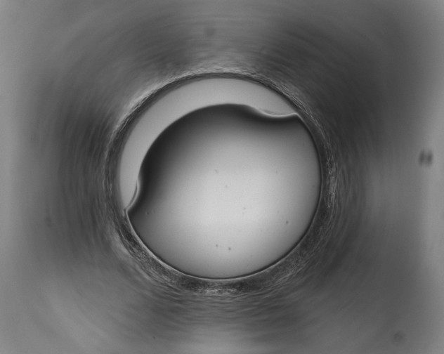 X0000114610680200911101152