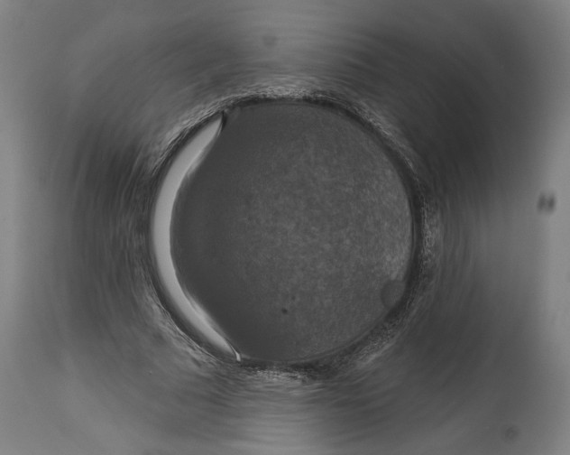 X0000114610681200911101152