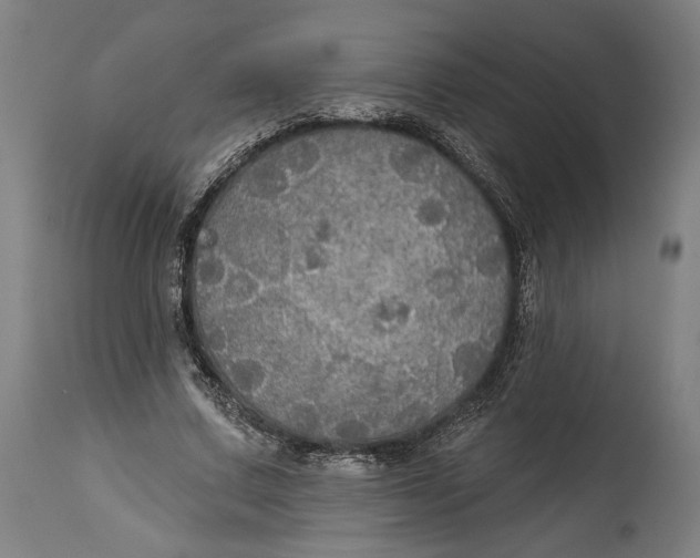 X0000114610683200911101152