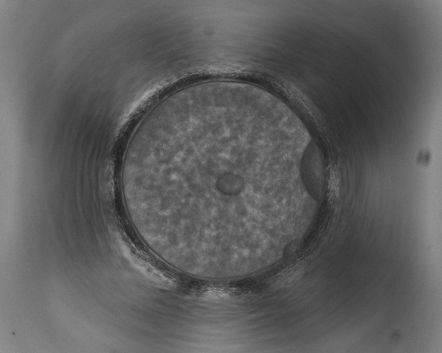 X0000114610684200911101152