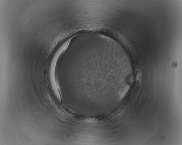 X0000114610685200911101152