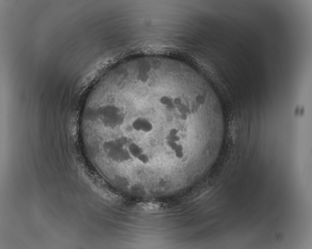 X0000114610687200911101152