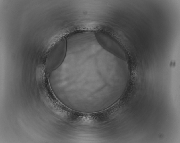 X0000114610688200911101152