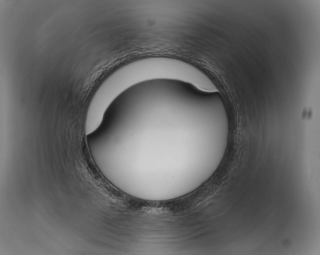 X0000114610689200911101152