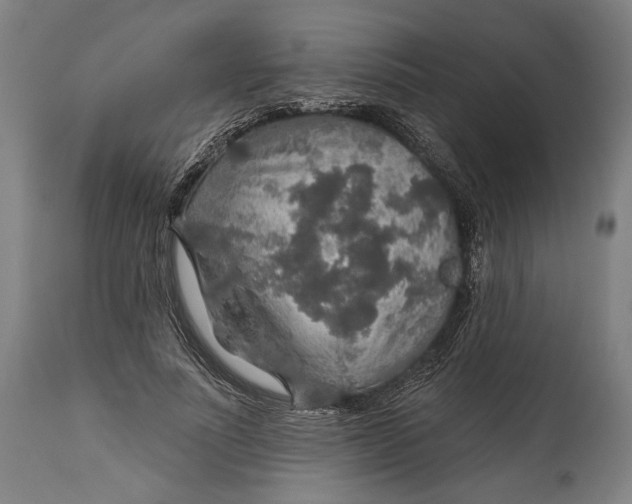 X0000114610691200911101152