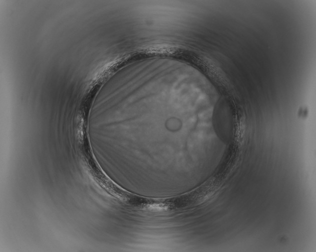 X0000114610692200911101152